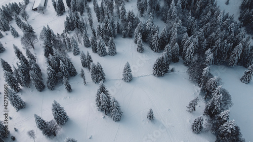 snow covered mountains