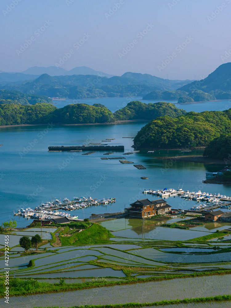 Obraz premium 肥前町 大浦の棚田 夕方 佐賀