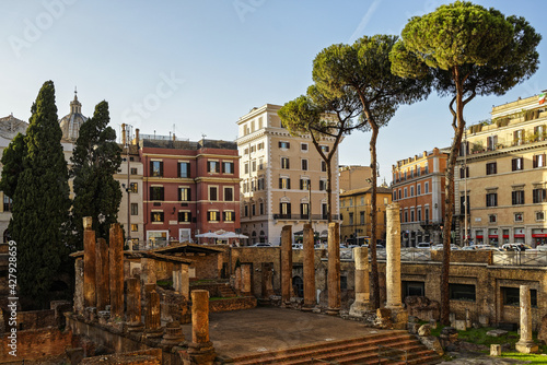 Ruines et pins parasols à Rome © PPJ