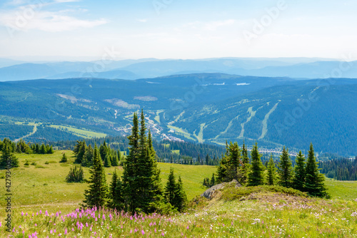 Beautiful landscape of valley in Alpine mountains, small trail, hike root, majestic picturesque view in sunny day © karamysh
