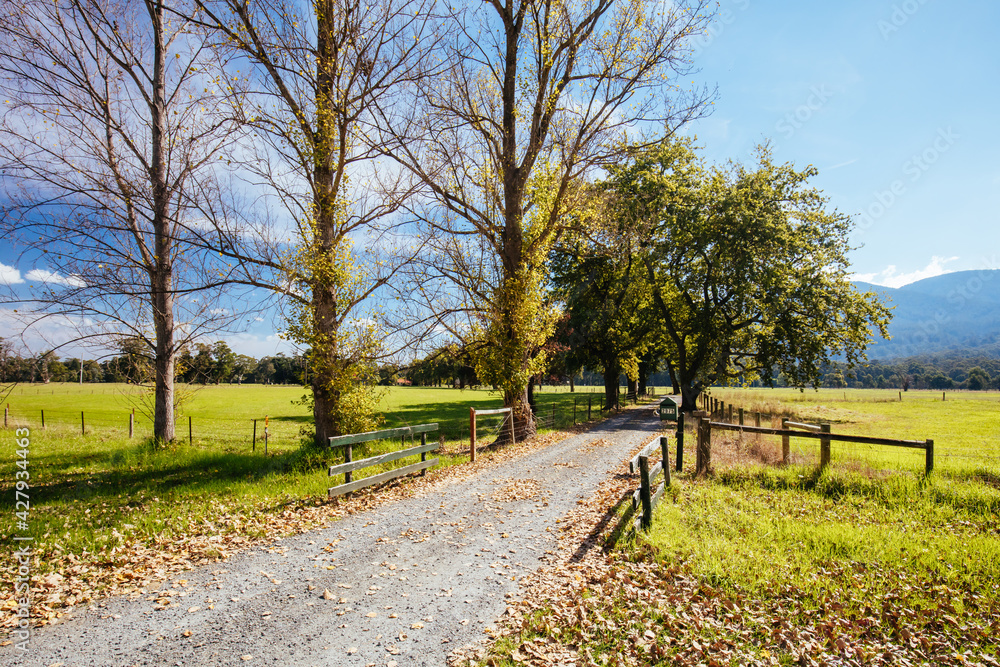 Lilydale to Warburton Rail Trail in Australia Lilydale to Warburton Rail Trail in Australia