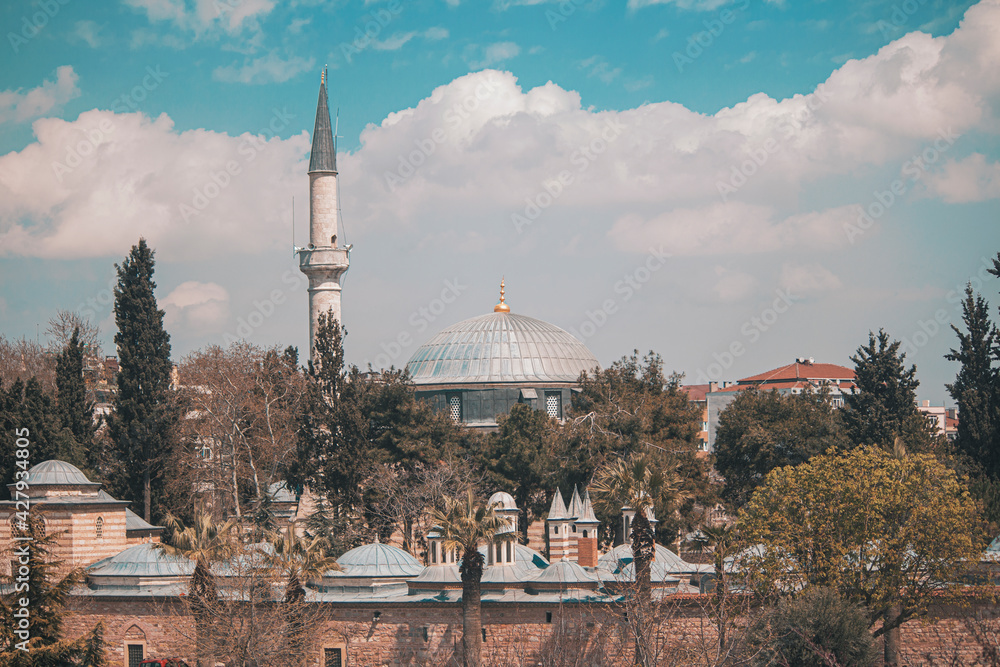Naklejka premium mosque country