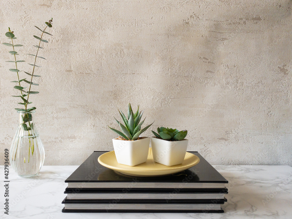 黒い本の上に置かれた多肉植物とガラスの花瓶に生けられたユーカリ銀世界 Stock Photo Adobe Stock