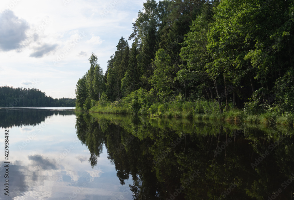 A forest lake surrounded by a forest with water reflecting trees and clouds. Horizontal photo. Scenery. A forest lake surrounded by a forest with water reflecting trees and clouds. Horizontal photo. Scenery.