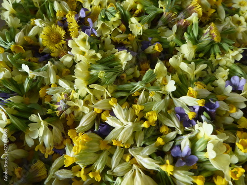 Teeblumen