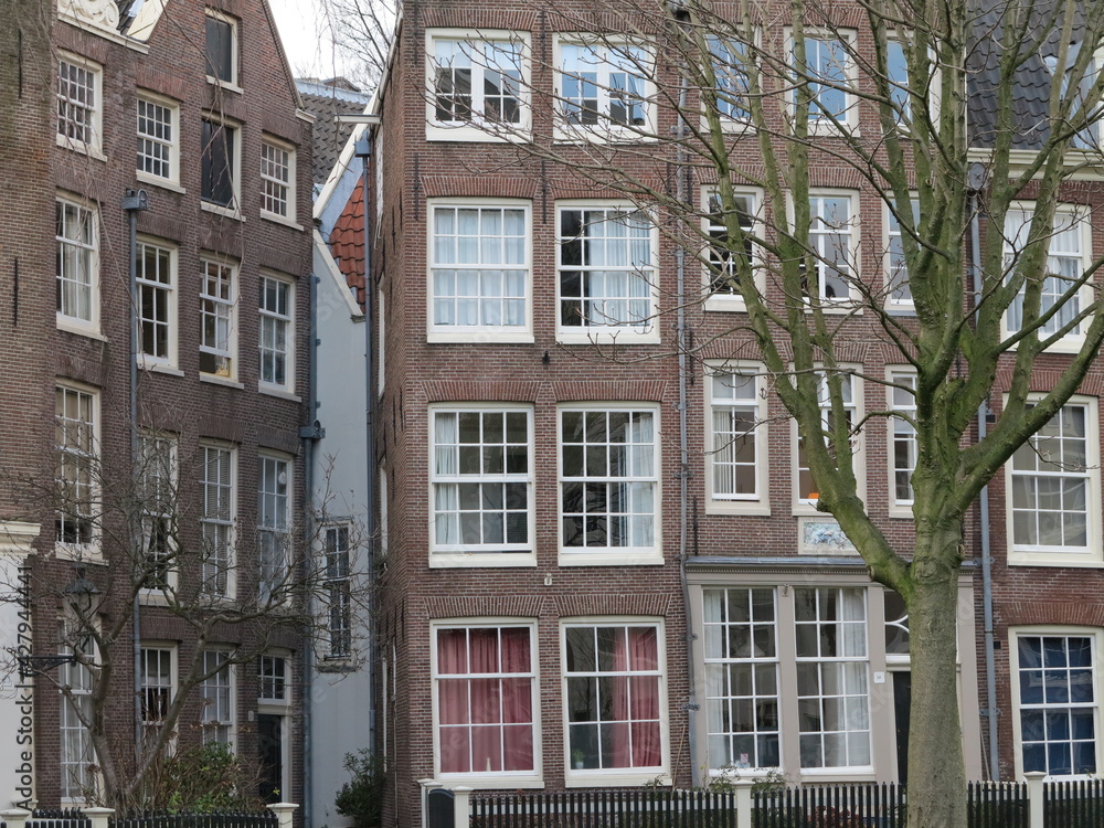 Amsterdam Begijnhof Traditional House Facades with Winter Tree