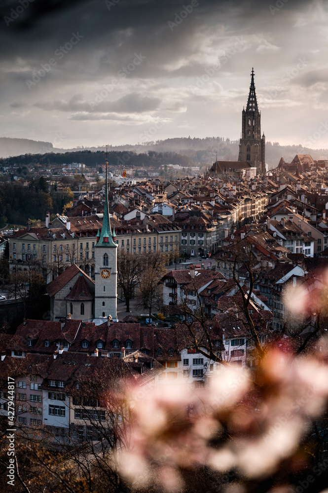 oldtown of Bern during cherry blossom with Berner Münster