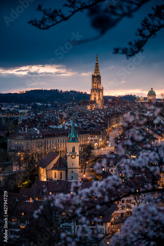 skyline of Berne during Cherry blossom at blue hour in spring