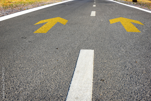 Yellow arrow sign marking on road surface in the park for giving directions. Transportation concept and road trip idea
