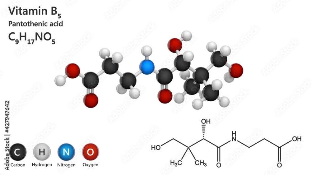 Molecular structure of Vitamin B5(Pantothenic acid). Also known as