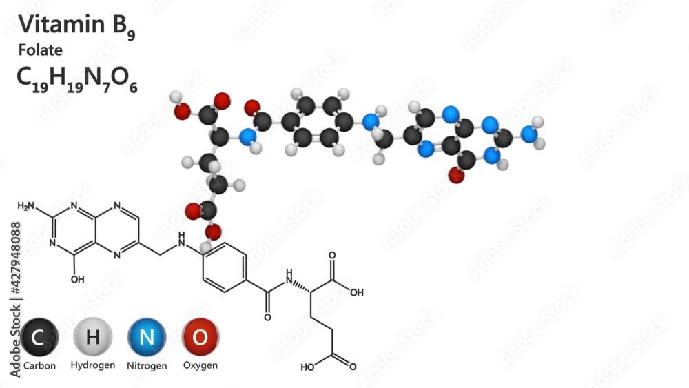 Stockvideon Vitamin B9 (Folate). Also known as Folacin, and