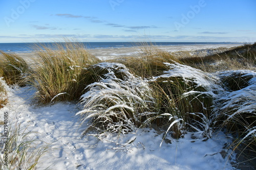 Strandhafer mit Nordsee und Schnee