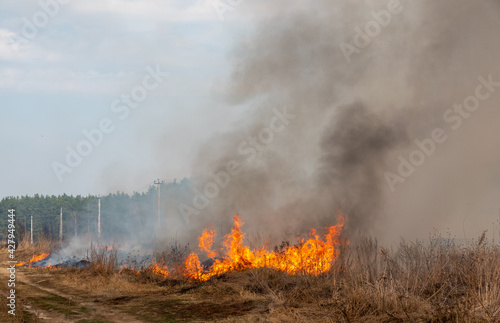 Forest fire burning, Wildfire close up at day time © Luidmila Spot