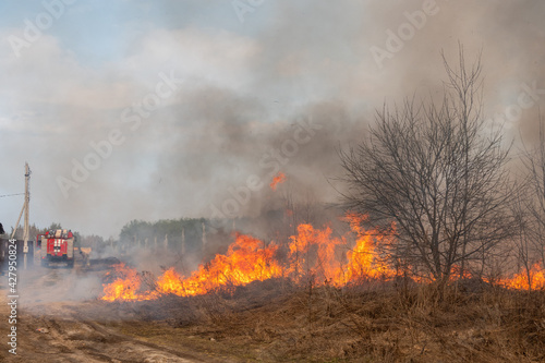 Forest fire burning, Wildfire close up at day time © Luidmila Spot