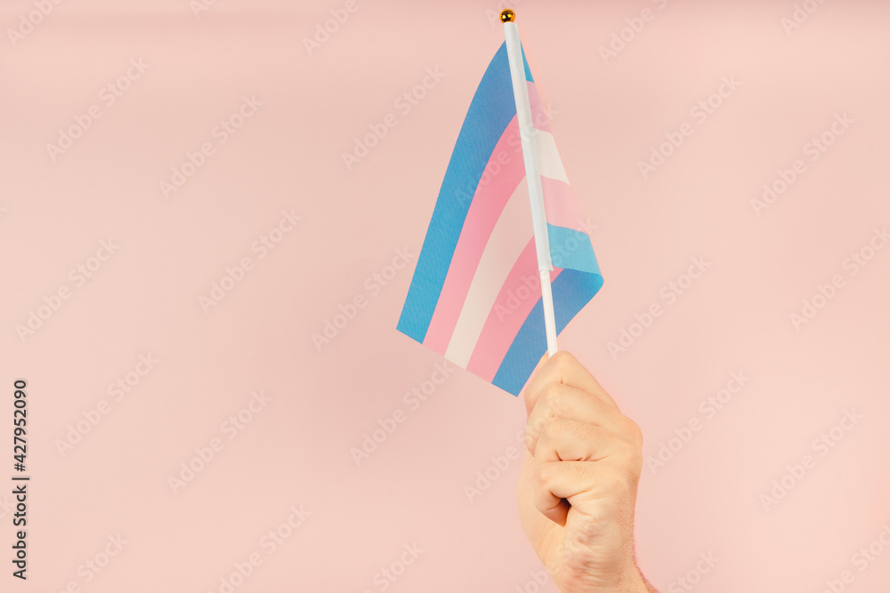 Hand holding flag in transgender pride colours - obrazy, fototapety, plakaty 