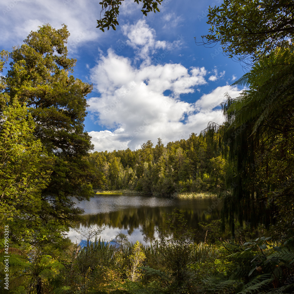 Scenic view of Lake Matheson in New Zealand in summertime Scenic view of Lake Matheson in New Zealand in summertime