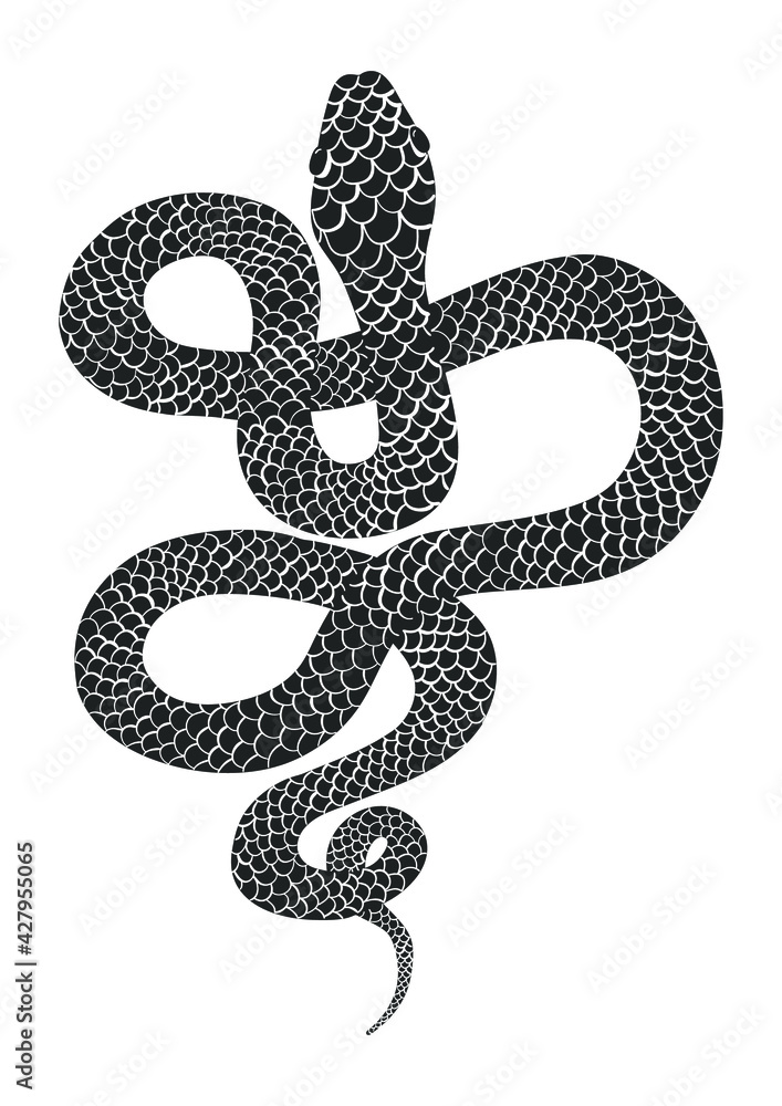 Black hand drawn snake silhouette on white background. Vector illustration Black hand drawn snake silhouette on white background. Vector illustration