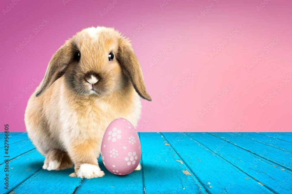 Easter. Easter.