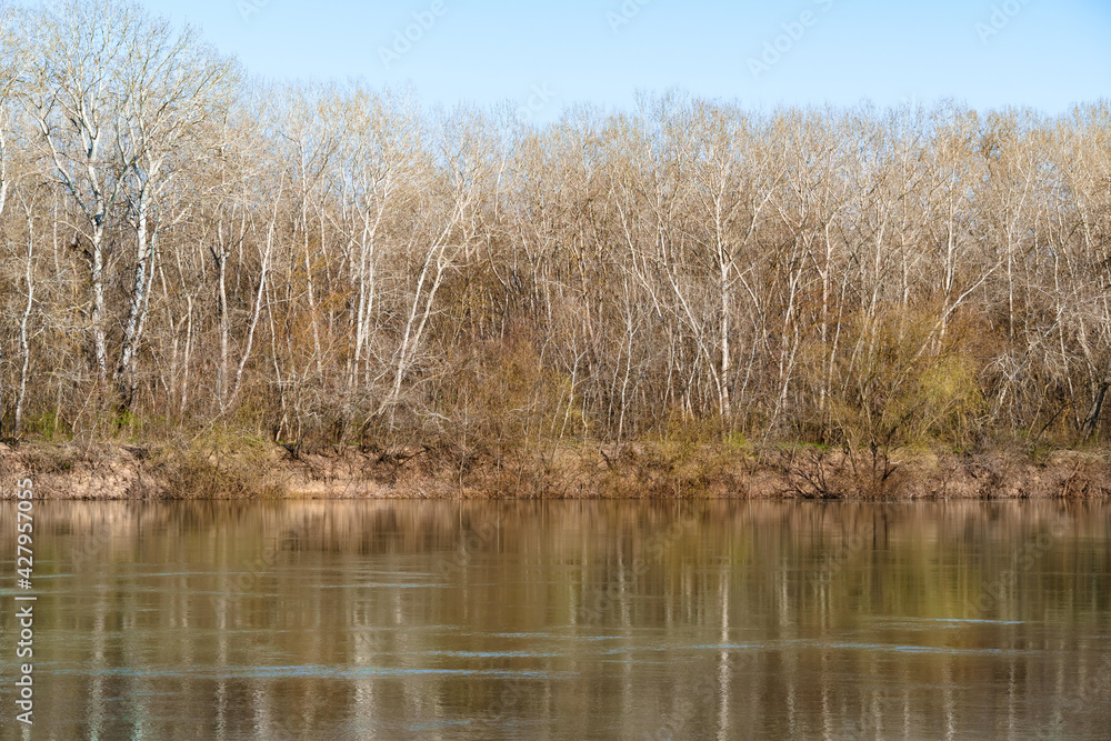 beautiful spring landscape - forest and river on a bright sunny day