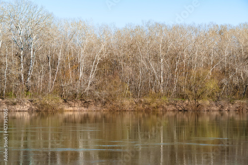 beautiful spring landscape - forest and river on a bright sunny day