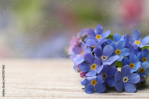 Beautiful blue Forget-me-not flowers on white wooden table  closeup. Space for text