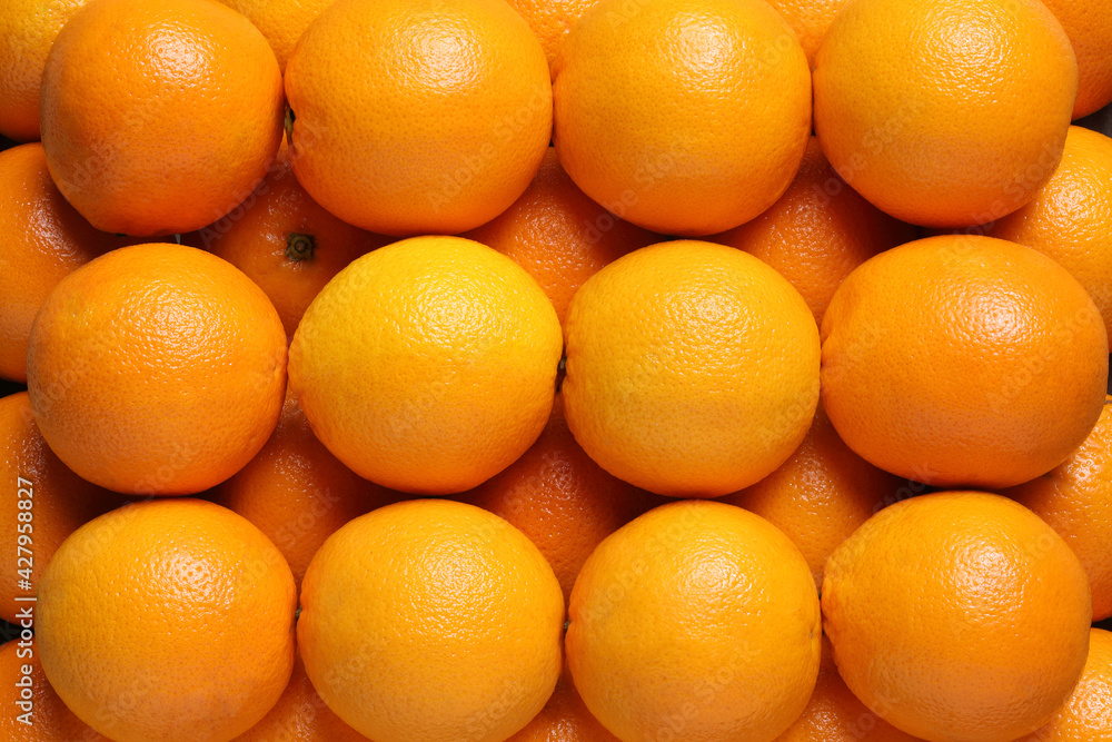 Oranges in Rows, Arranged – Background or Pattern of Oranges Ordered in Line – Top View, Close-Up Macro, from Above Oranges in Rows, Arranged – Background or Pattern of Oranges Ordered in Line – Top View, Close-Up Macro, from Above