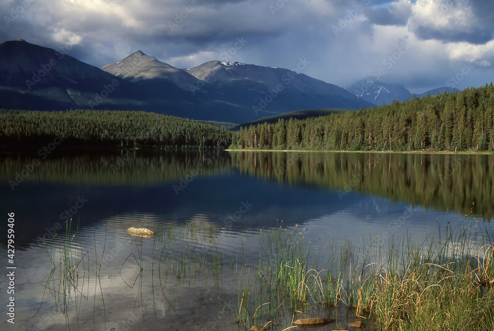 Patricia Lake, Jasper. Alberta, Canada