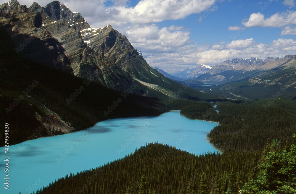 Lake Peyto, near Banff, Alberta, Canada