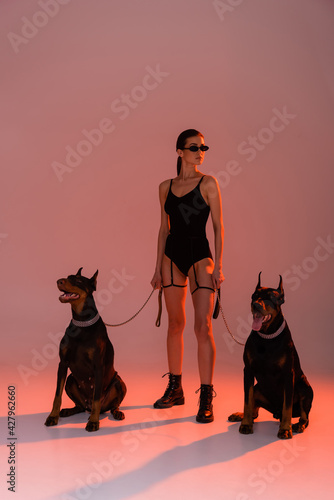 Canvas Print doberman dogs on chain leashes near sexy woman on pink background with yellow li