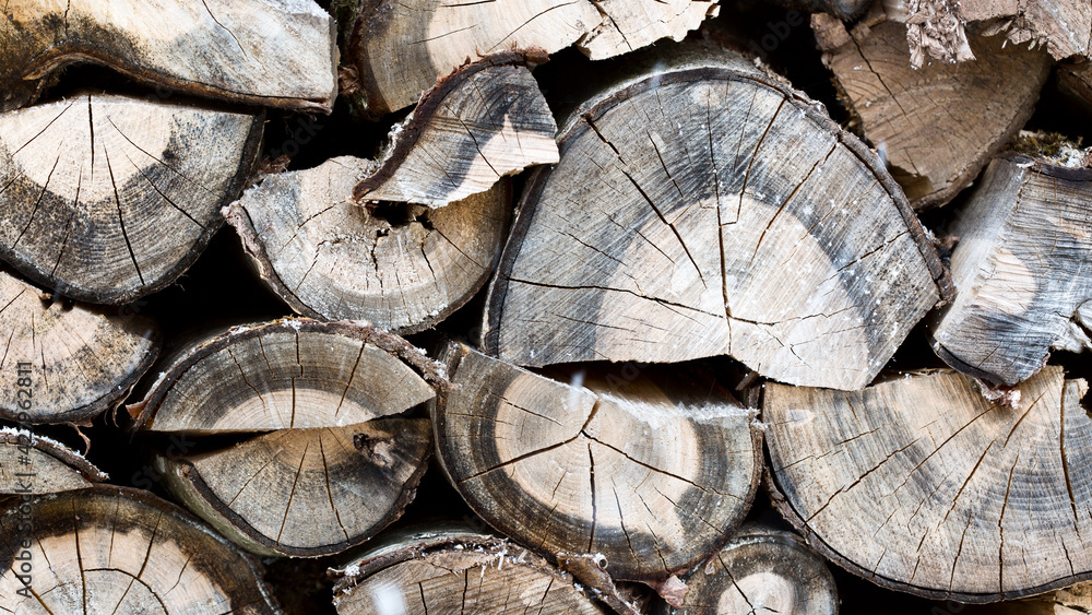 Background of an firewood dry and rough, cut in small pieces. Background of an firewood dry and rough, cut in small pieces.