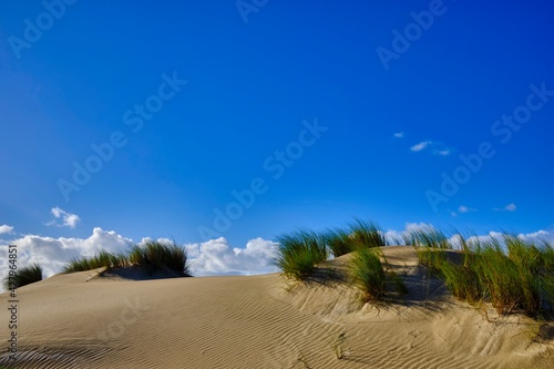 Fototapeta Naklejka Na Ścianę i Meble -  Dunes and vegetation under blue sky
