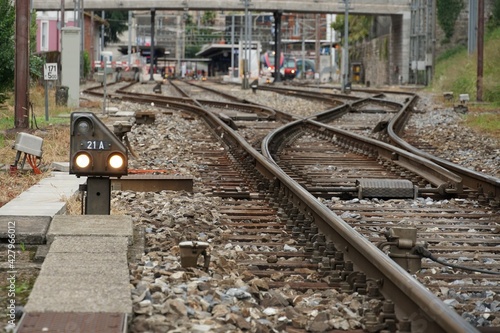 Принти на полотні Railroad leading to Locarno in Switzerland with multiple train shunts diverging into several separate rail tracks