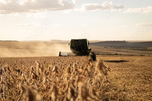 soybean harvest on sunset