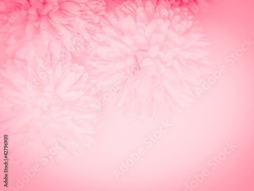 Beautiful abstract color red flowers on white background  light pink flower frame  pink leaves texture  gray background  valentines day  love theme  pink texture  white gradient