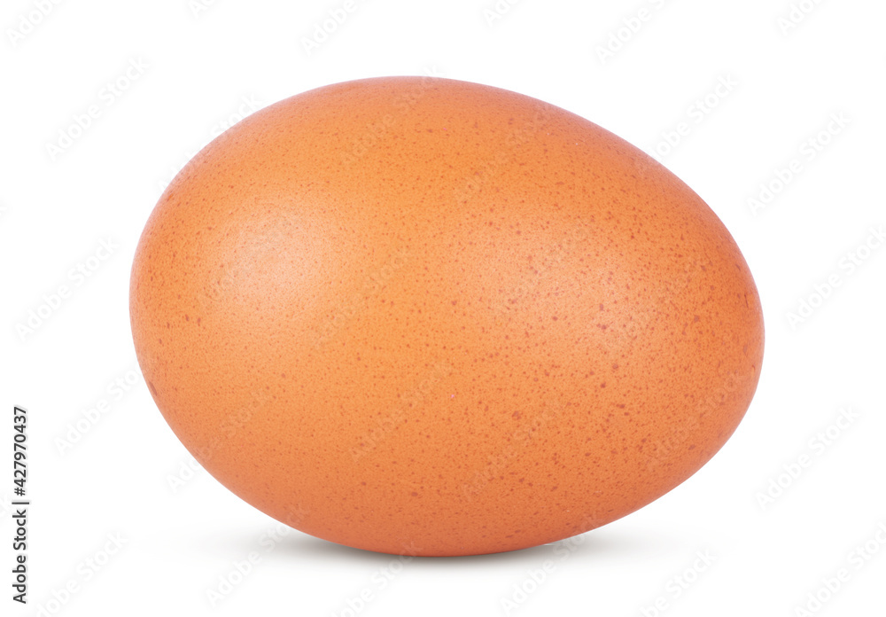 Single brown chicken egg isolated on white background Single brown chicken egg isolated on white background