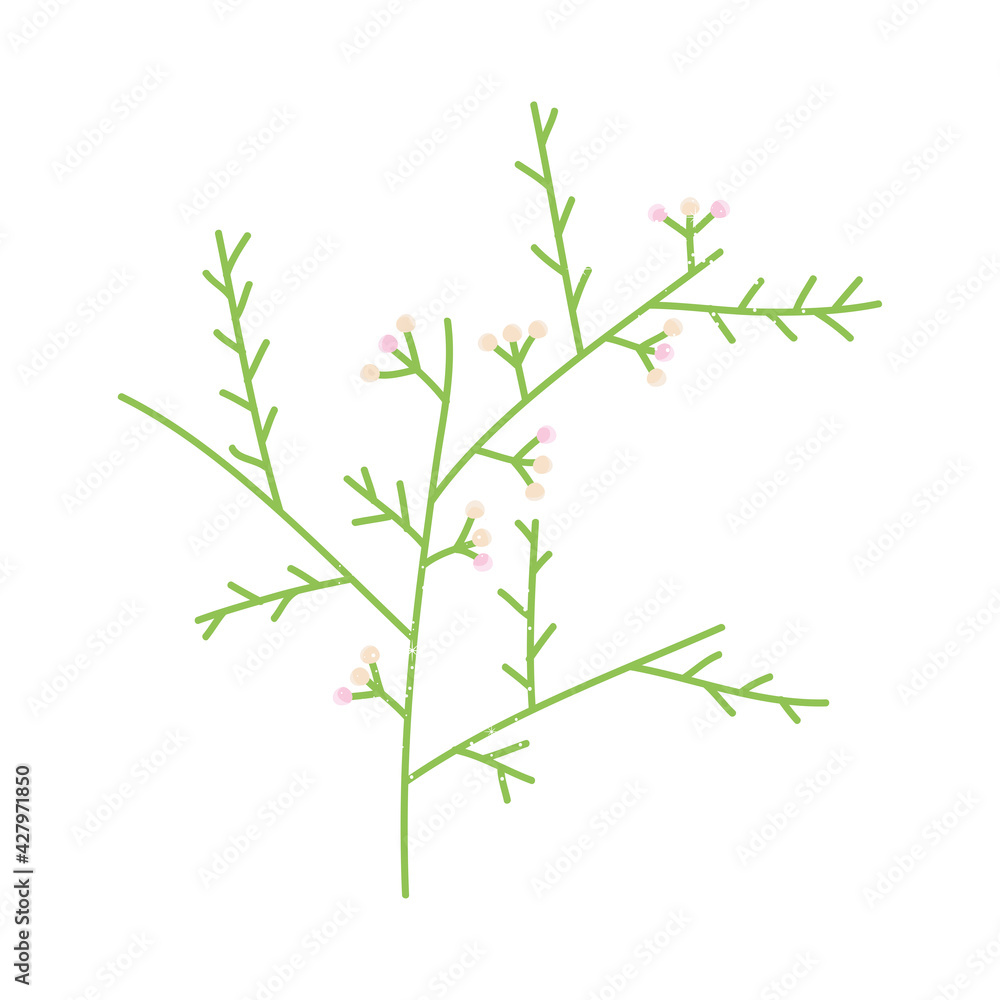 Fototapeta premium green decorative foliage