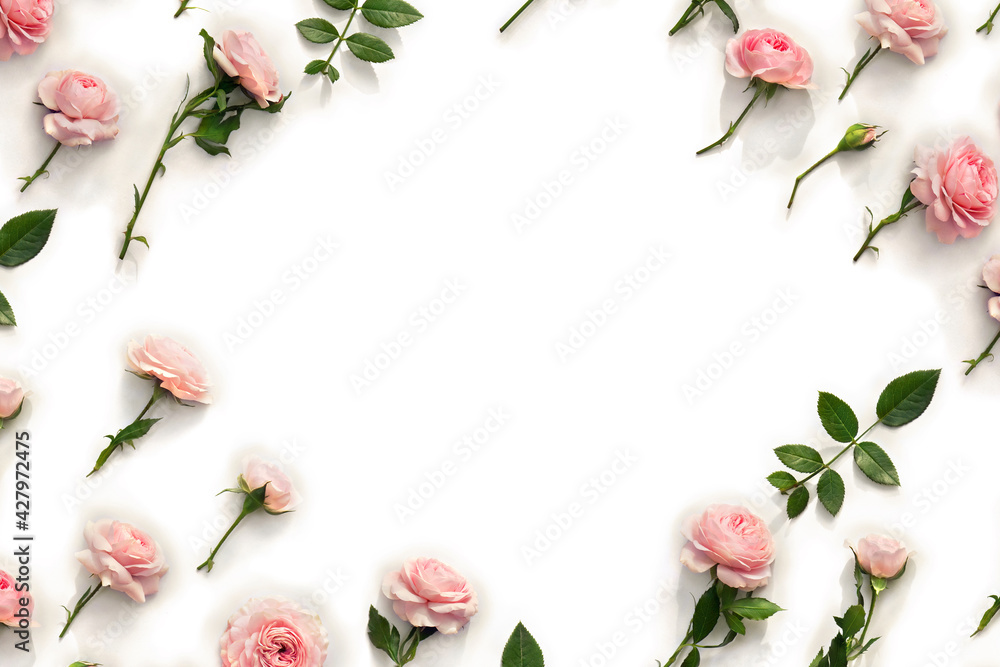 Flowers pink roses with leaves on a white background with space for text. Top view, flat lay Flowers pink roses with leaves on a white background with space for text. Top view, flat lay