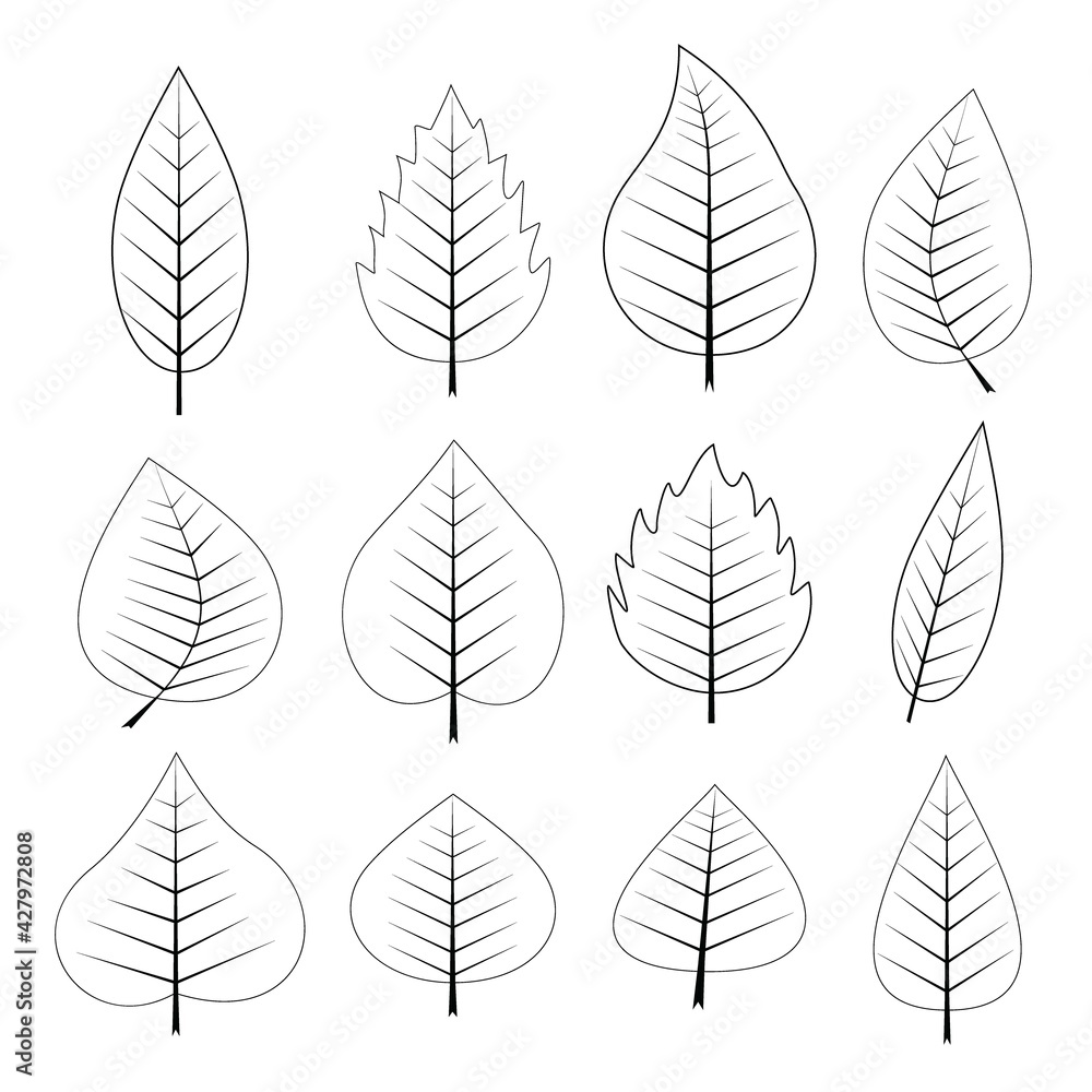 Minimalistic leaf icon set. Different Leaves collection outline vector illustration. leaves with line hand drawing style