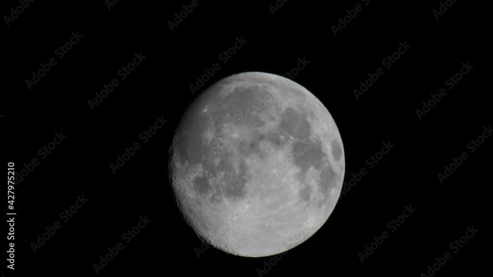 Bird flying in front of a full moon close up. Bird flying in front of a full moon close up.