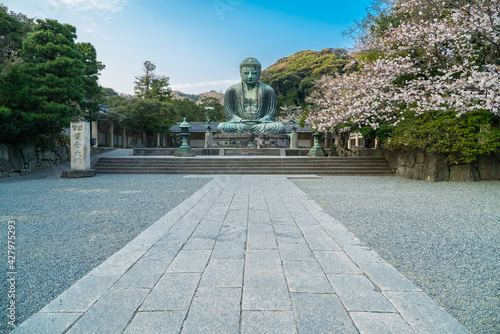 The Great Buddha or Daibutsu at Kotoku-in Buddhist Temple. A large bronze statue found in Kamakura, Japan. 