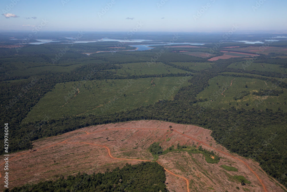 Damage in nature. The atmosphere from above. Aerial view of the Amazon jungle in Brazil. The tropical rainforest trees and deforestation traces. Beautiful green foliage texture and pattern.