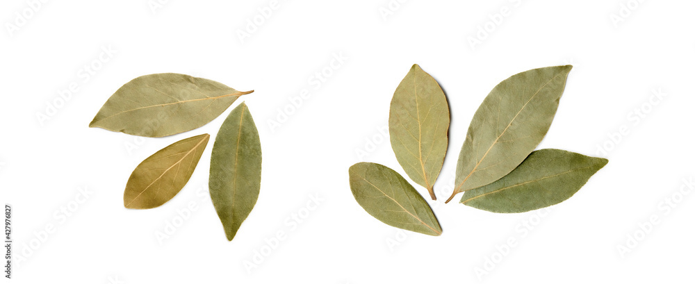 Dried bay leaf isolated on white background