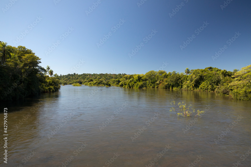 Explore. View of the wide river flowing across the green tropical forest. 