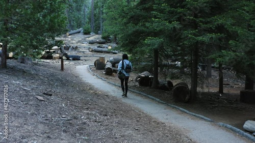 Back view of tourist woman walking at trail of 100 Giants in Sequoia National Forest, California photo