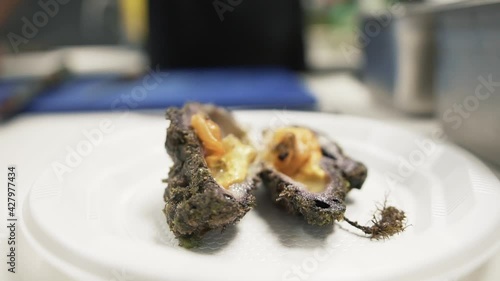 Close up Microcosmus sabatieri served on plate opened in the middle. Seafood meal preparation in the restaurant  kitchen photo