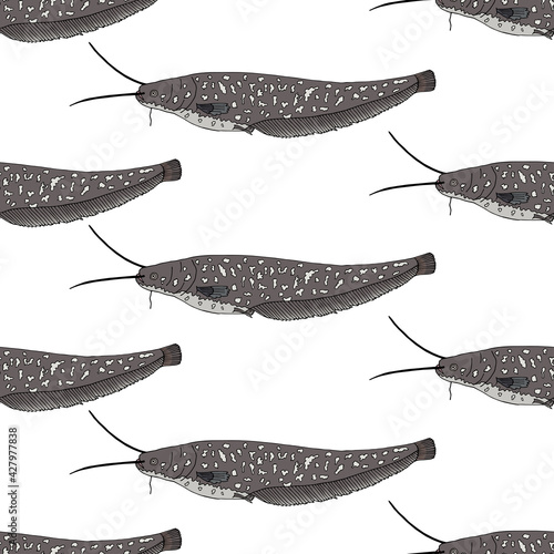 Seamless pattern of catfish, hand drawn. Can be used for packaging, menu, restaurant and cafe, market and etc. Vector illustration.