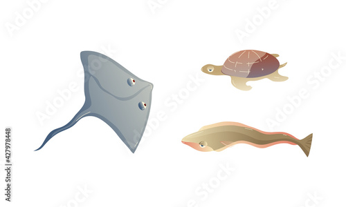 Ocean Underwater Animals with Floating Skate and Turtle Vector Set