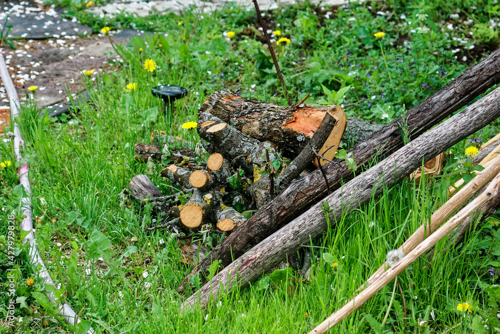 chopped wood in the garden