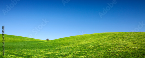 Spring landscape background with blue sky and green grass field.