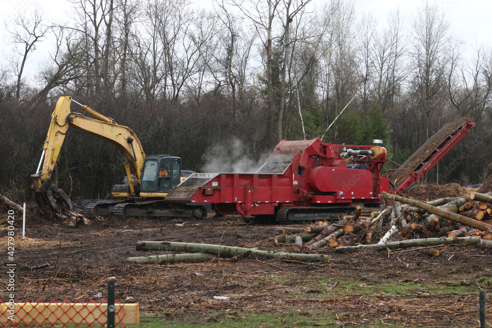 Excavator feeding tree grinding machine to turn branches, stumps and whole trees into chips on rainy spring day Excavator feeding tree grinding machine to turn branches, stumps and whole trees into chips on rainy spring day